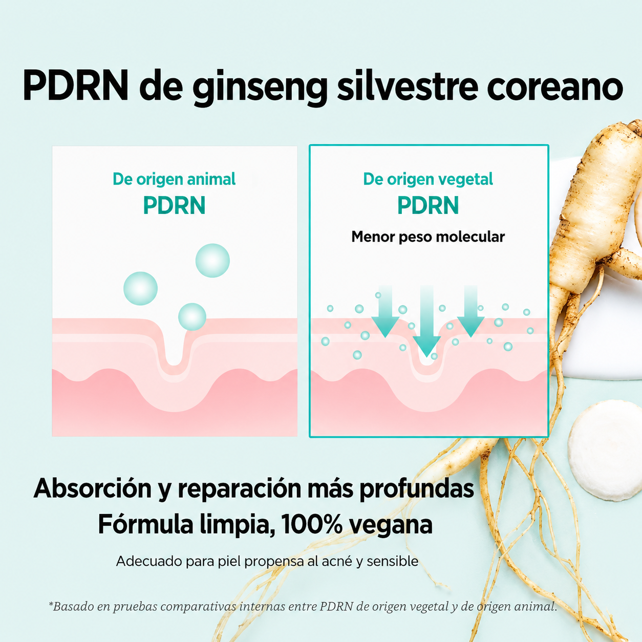PDRN - Barra de colágeno multiarrugas